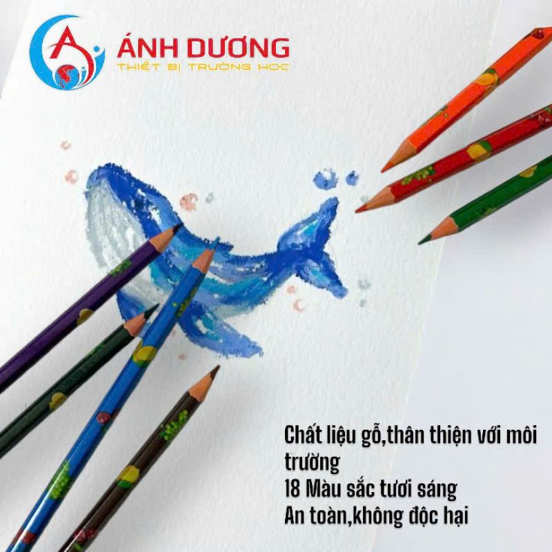 Bút chì 18 màu chim Ruồi 